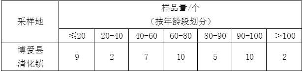 2AE2