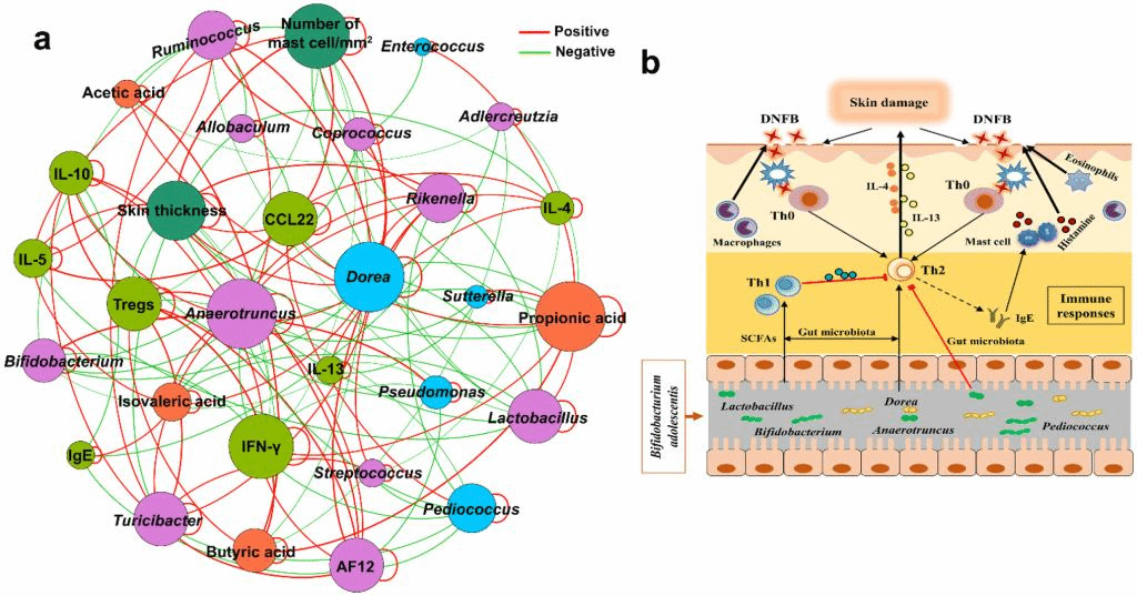 https://media.springernature.com/full/springer-static/image/art%3A10.1007%2Fs00394-019-02145-8/MediaObjects/394_2019_2145_Fig8_HTML.png