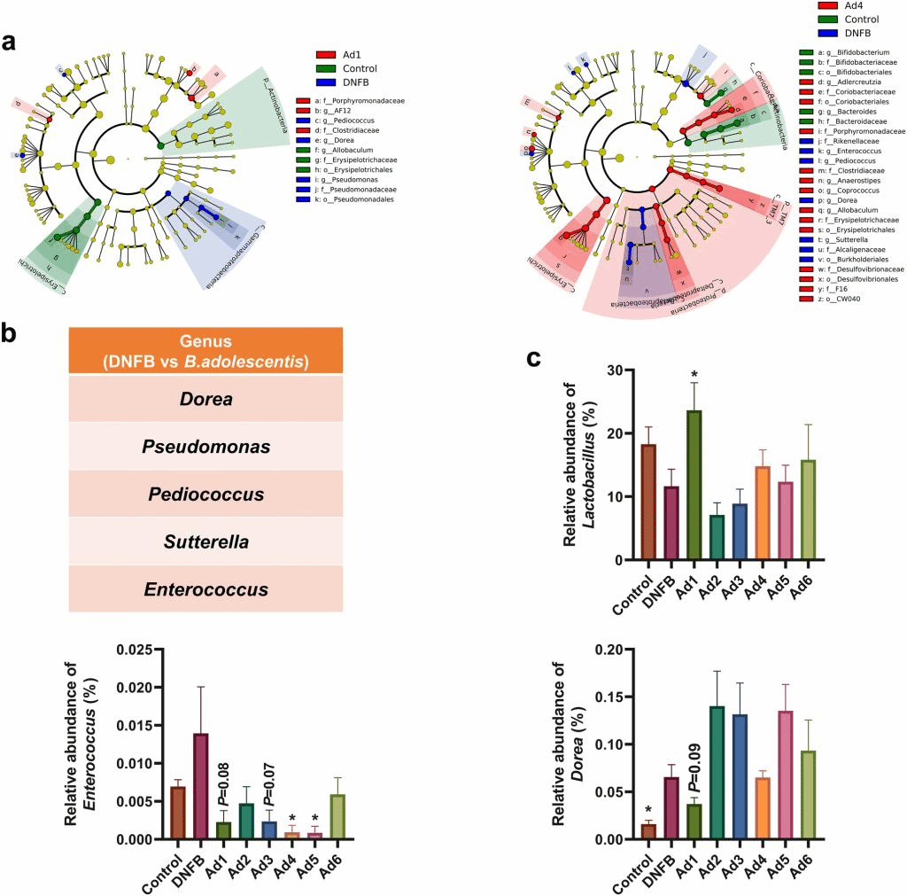 https://media.springernature.com/full/springer-static/image/art%3A10.1007%2Fs00394-019-02145-8/MediaObjects/394_2019_2145_Fig6_HTML.png
